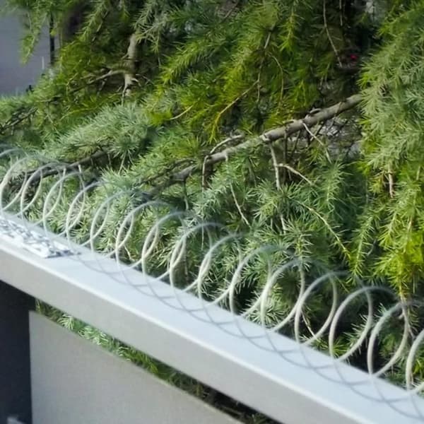 Afskrækningssystem for fugle - Spiral - Rustfrit stål - Længde 5m - Farve grå