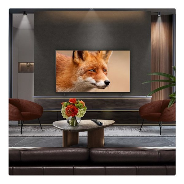 TV OLED Evo LG OLED77C5 195 cm 4K UHD 2025