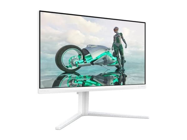 PHILIPS Philips Evnia 24M2N320