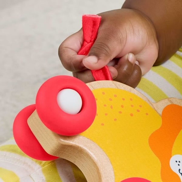 FISHER-PRICE Puupullattavat eläimet - JFN19 Färgad