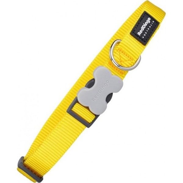 Hundehalsbånd - RED DINGO - Glat - Holdbart acetal - D-ring i rustfrit stål - Flerfarvet