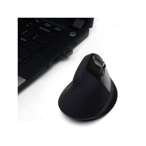 Ewent EW3158 trådløs optisk mus - 5 knapper - 2,4 GHz - Sort