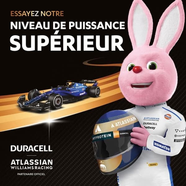 Duracell Plus Power Boost MN2400 Pile LR3 (AAA) 1,5 V 16 kpl
