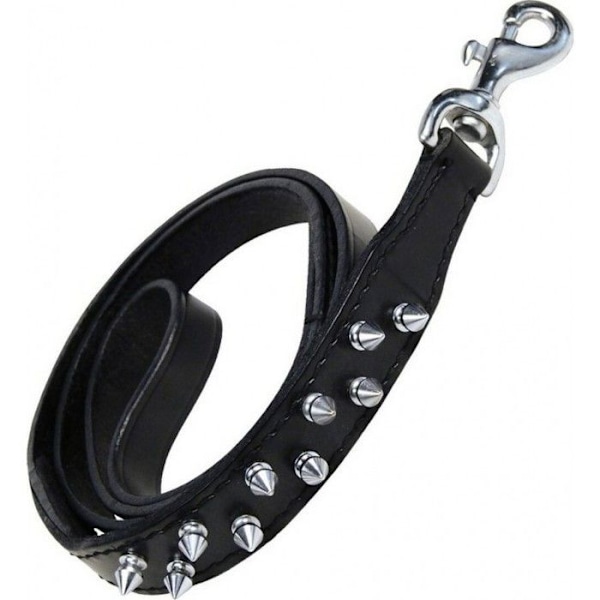 Skin Leash 2 Filer Paperback Svart