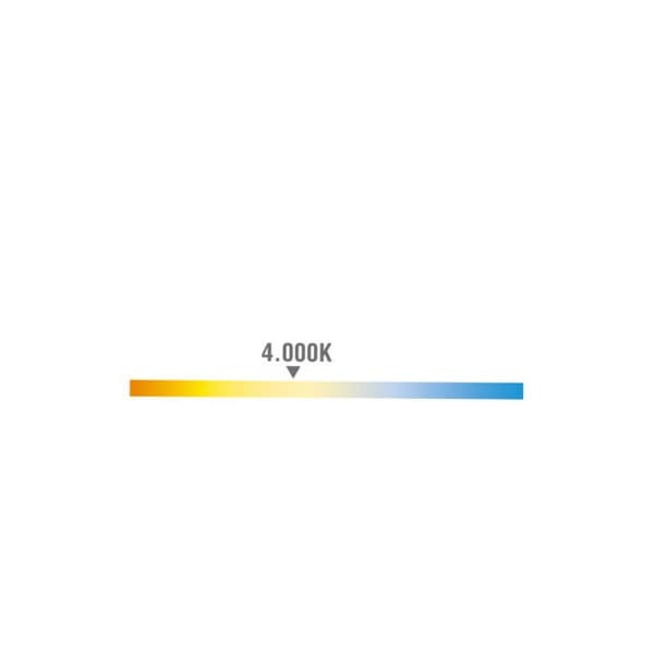 Led-seinälamppu EDM-liiketunnistin 16W 4000K 30cm Vit