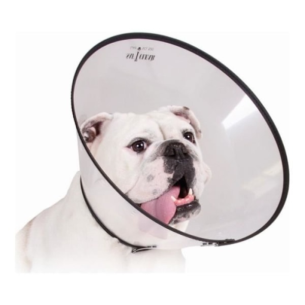 KVP Isabelino beskyttelseshalsbånd til hunde Saf-T-Clear Transparent (15-23 cm) - 0742061547024