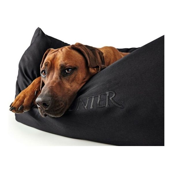 Roskakori - kori - tyyny - riippumatto - Hunter bed - 61808 - koiran sohva Gent antibac 60 x 45 cm musta