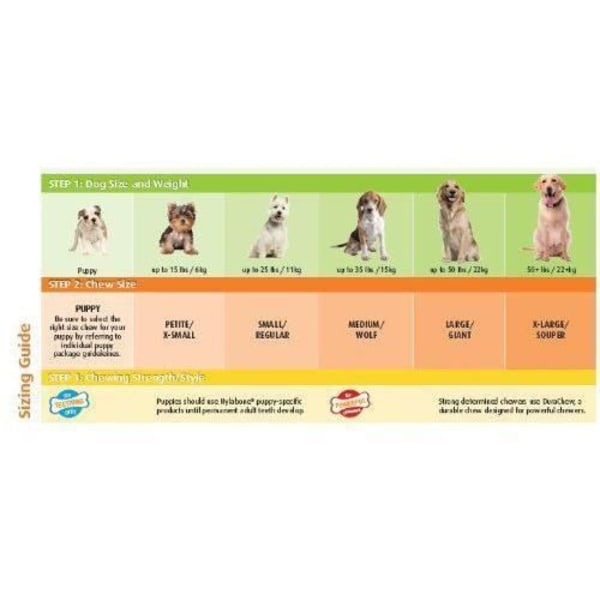 Nylabone Dura Chew Chew Bone -lelu, naudanlihan maku