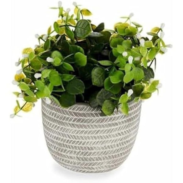 Dekorativ plante - IBERGARDEN - Plastikblomster - Flerfarvet - 20 x 20,5 x 20 cm - 8 enheder Flerfärgad