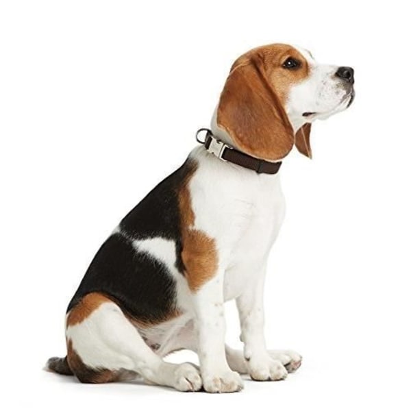 Hundehalsbånd - HUNTER - Vario Basic Alu-Strong - Nylon - Aluminiumspænde - Brun Brun