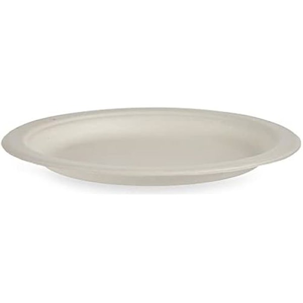 Kertakäyttölautaset - ARTE REGAL - 10 kpl - ECO 17 cm