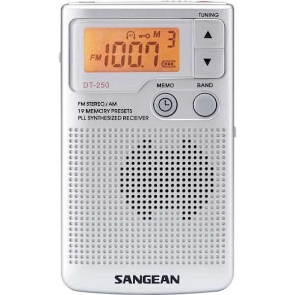 SANGEAN DT-250 Grå bærbar radio - AM/FM digital radiotuner