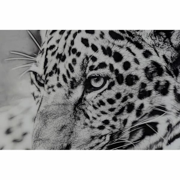 kehys 100 x 2,5 x 100 cm siirtomaaleopardi (2 kpl)