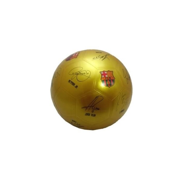 FC Barcelonen yritysten pallo - 107174