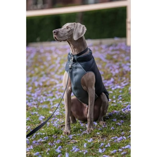 Vendbar jakke - Red Dingo - 60 cm - Sort og grå - Vandafvisende - Neopren og fleece sort og grå