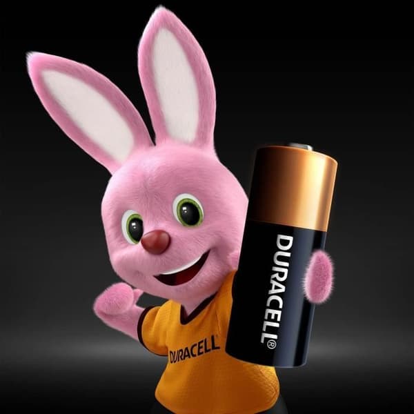 Duracell DURACELL SPE MN21 X2 batterier