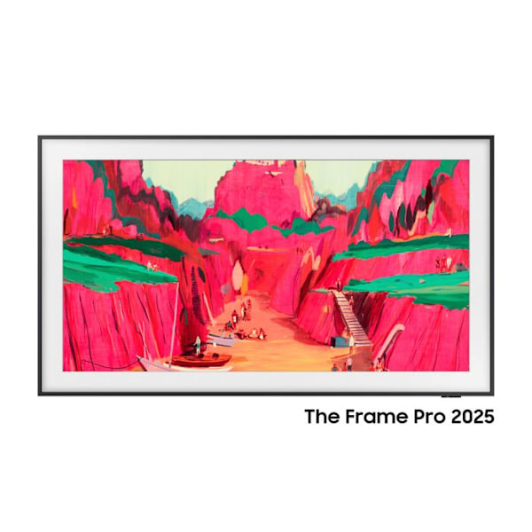 SAMSUNG Neo QLED The Frame Pro Sort