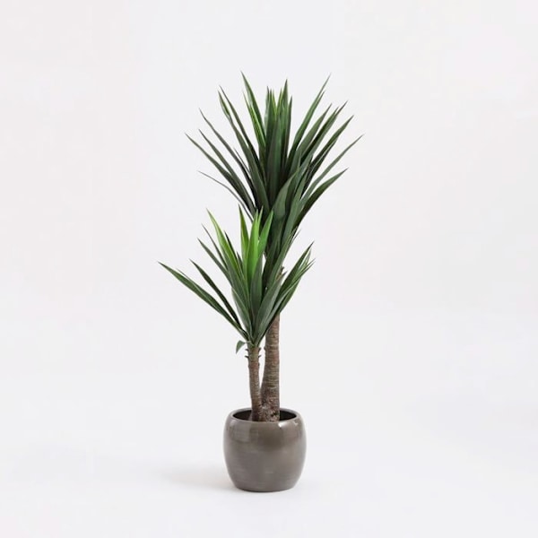 Glimmerdekorationer Yucca Konstgjorda växter - H120 x Ã˜70 cm Grön