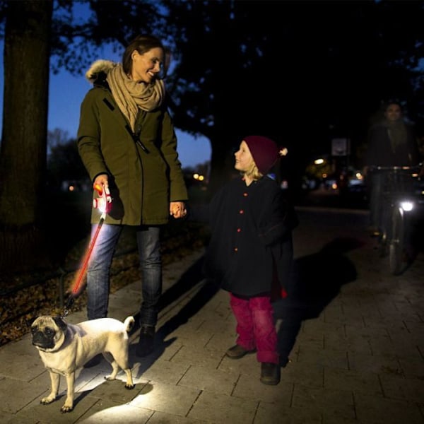Lampe Led Belysningssystem Sort Sort