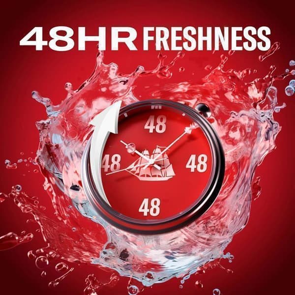 Alumiiniton deodorantti tikkuna 50 ml - Old Spice - NightPanther
