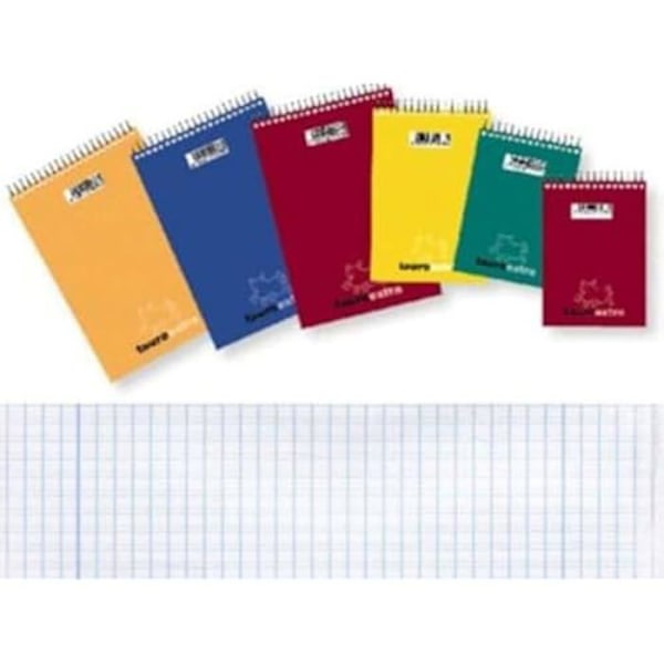 Notesblok - Assorteret - 1/16 - 80 ark - Landskabsformat - 4 mm Blandat att välja mellan