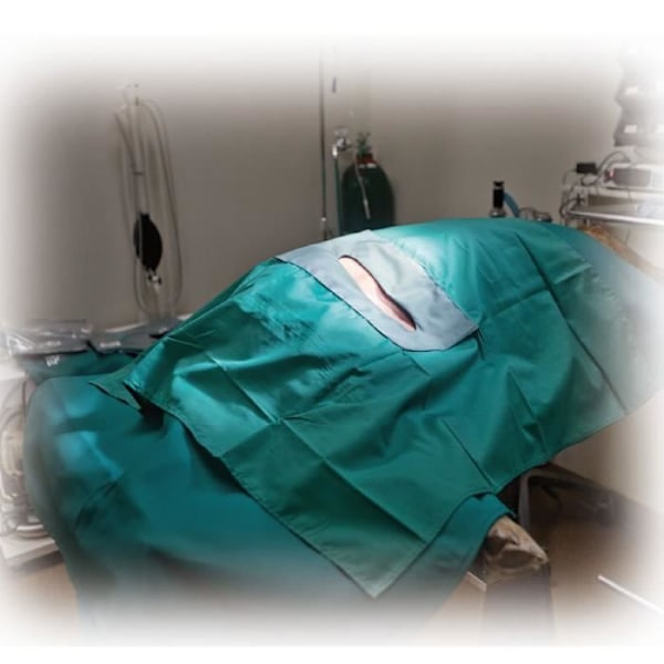 KVP Operationsgardiner med fönster | 370 GR