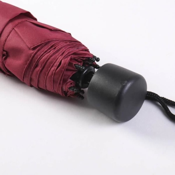 HARRY POTTER - Gryffindor - Taitettava sateenvarjo 53 cm