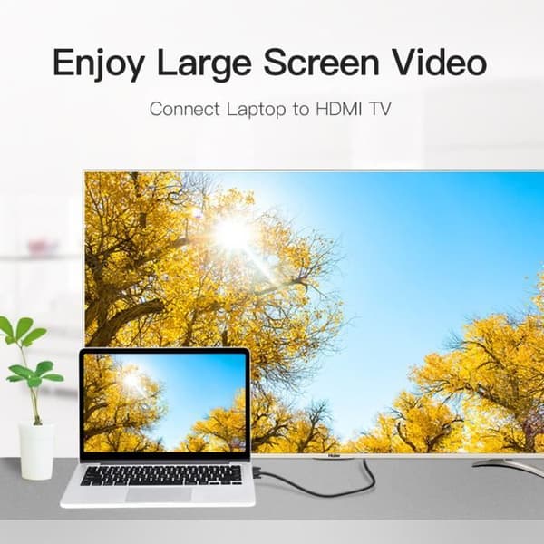 VENTION HDMI til DVI Kabel
