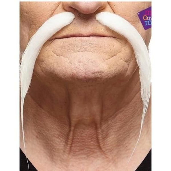 Vuxen vit kinesisk mustasch Vit