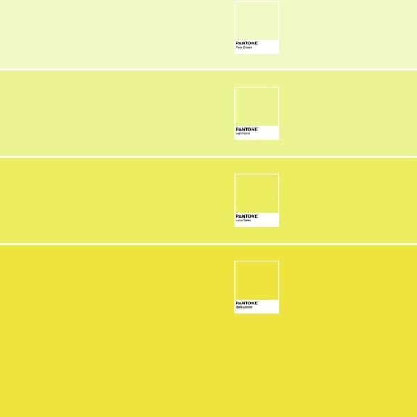 Påslakan - Pantone - Ombre C - 100 % bomull - 240x220 cm - Grön