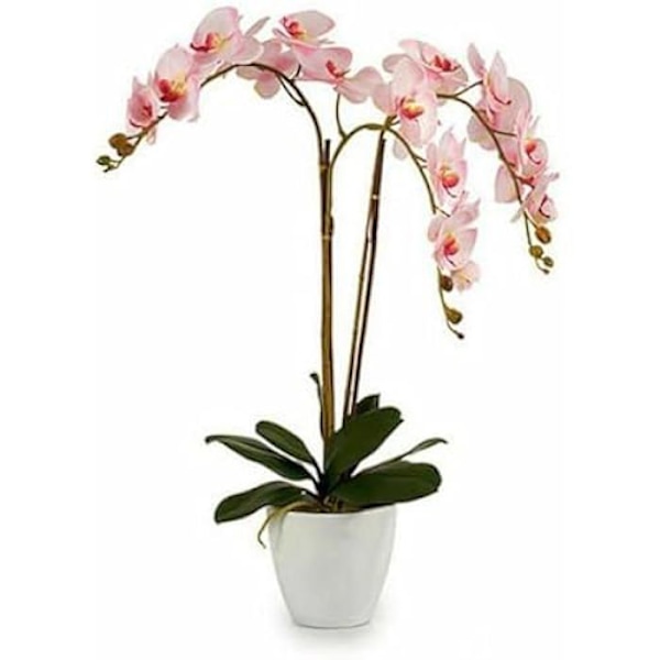 Dekorativ plante - IBERGARDEN - Flerfarvet - 20 x 60 x 19 cm - Kunstig plante - Indendørs Flerfärgad