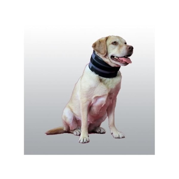 GRATIS COCK COLLAR XL
