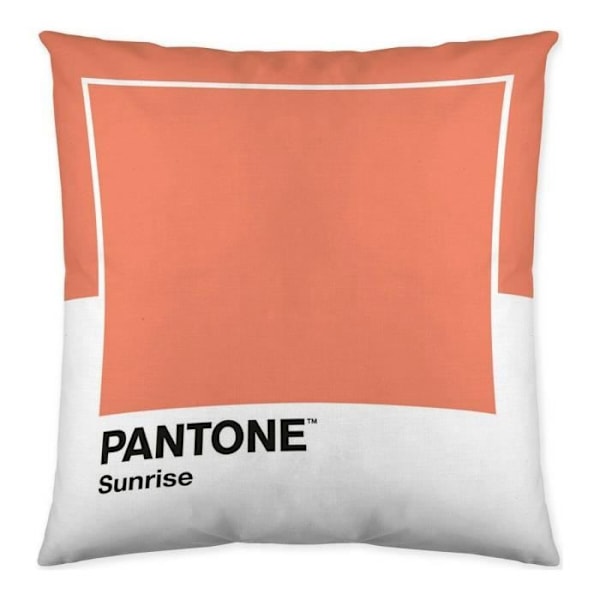 pudebetræk bred c pantone lokalisering-b086jpw2vb vendbar (50 x 50 cm)