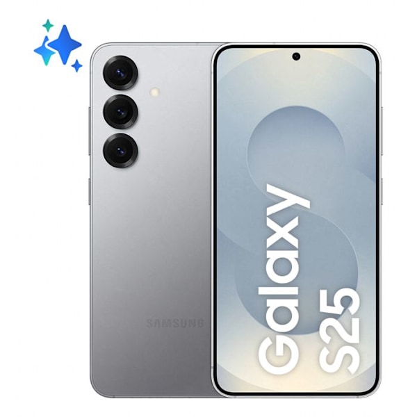 Samsung Galaxy S25 5G 12 GB/256 GB Grå (Silver Shadow) Dobbelt SIM SM-S931B Sølv