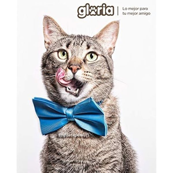 Klösträd/Misscenter för katt - GLORIA - Danubio - Grå - Sisalrep - Inomhus grå