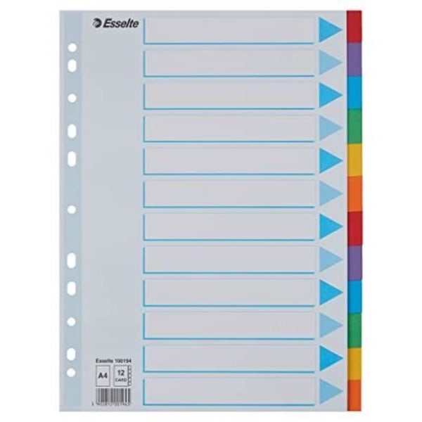 CF10 INTERCAL CARTON12 T.COLORS A4 ESSELTE 100194