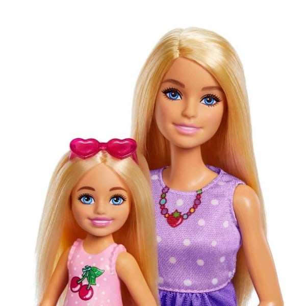 Barbie-perhe ja ystävät - Barbie piknik - lahjasetti 2 nukkea - 3 vuotta+ - JBF43