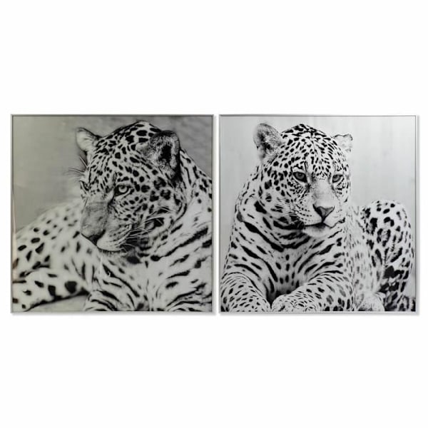 kehys 100 x 2,5 x 100 cm siirtomaaleopardi (2 kpl)