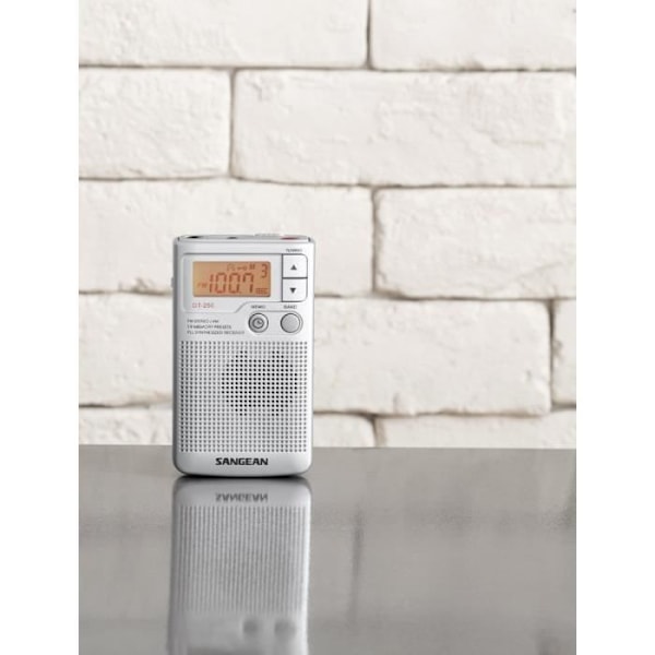 SANGEAN DT-250 Grå bærbar radio - AM/FM digital radiotuner