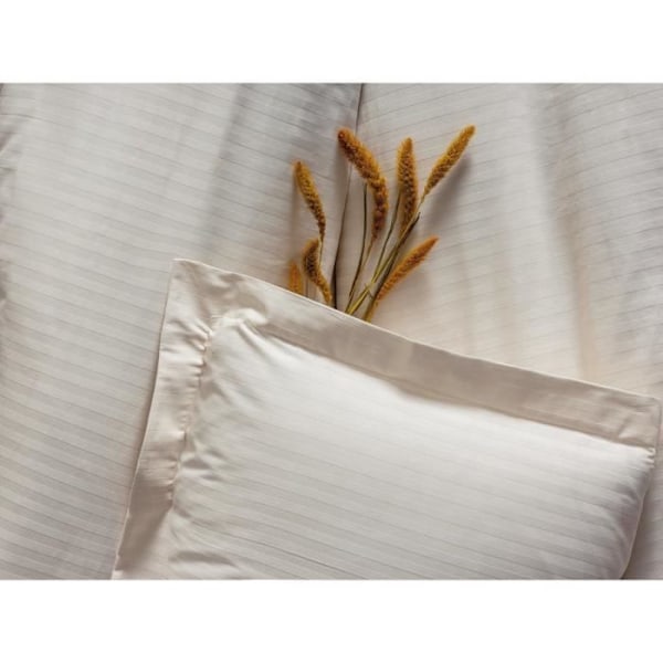 Sängkläder - 1 påslakan 220 x 240 cm + 2 örngott 60 x 60 cm - Satin 100% bomull - Ecru Ecru