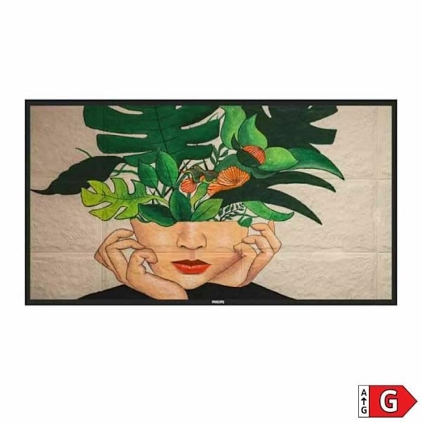 Philips 50BDL4511D-00 LED 4K UHD 50" videoseinänäyttö