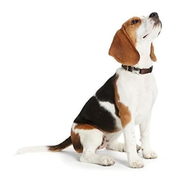 Hundehalsbånd - HUNTER - Vario Basic Alu-Strong - Nylon - Aluminiumspænde - Brun Brun