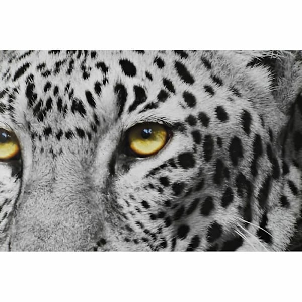 ramme 67 x 3 x 93 cm kolonijungle (3 stk.)