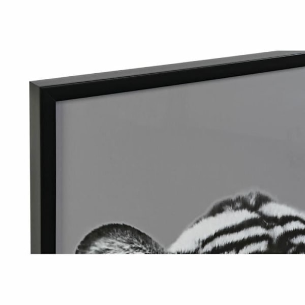 ramme 67 x 3 x 93 cm kolonijungle (3 stk.)