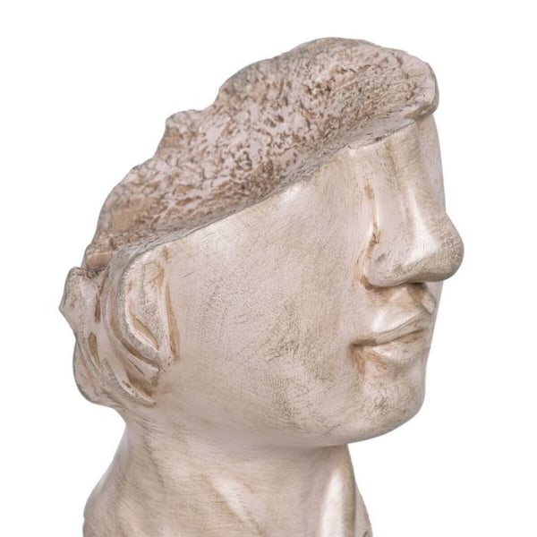 Koristefiguriini - BigBuy Home - Kasvot - Metalli - Polyresiini - Beige beige