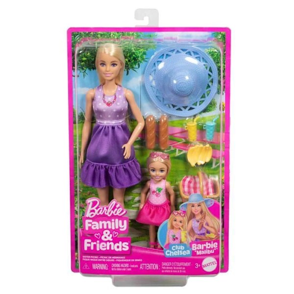 Barbie-perhe ja ystävät - Barbie piknik - lahjasetti 2 nukkea - 3 vuotta+ - JBF43