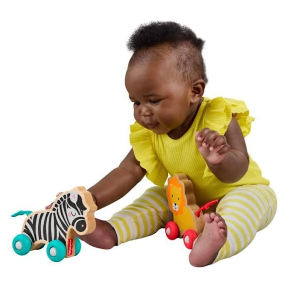 FISHER-PRICE Puupullattavat eläimet - JFN19 Färgad