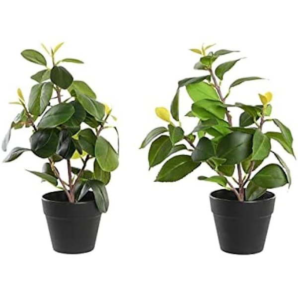 Dekorativ växt - DKD Home Decor - Standard - Grön - Polypropylen - 64x58x40 cm grön