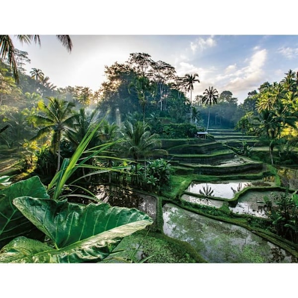 '2000 palapelin palassa Bali, Aikuiset ja lapset 14-vuotiaasta alkaen, Escape-kokoelma, 12001518, Nathan'