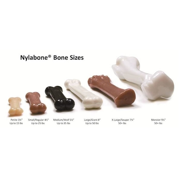 Tuggleksak - Nylabone - Set med 2 - Smaker av nötkött/kyckling - För mindre aggressiva hundar - Mjuka material